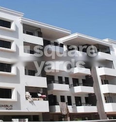 Damodar Nimbus Flat Damodar Nimbus Flat