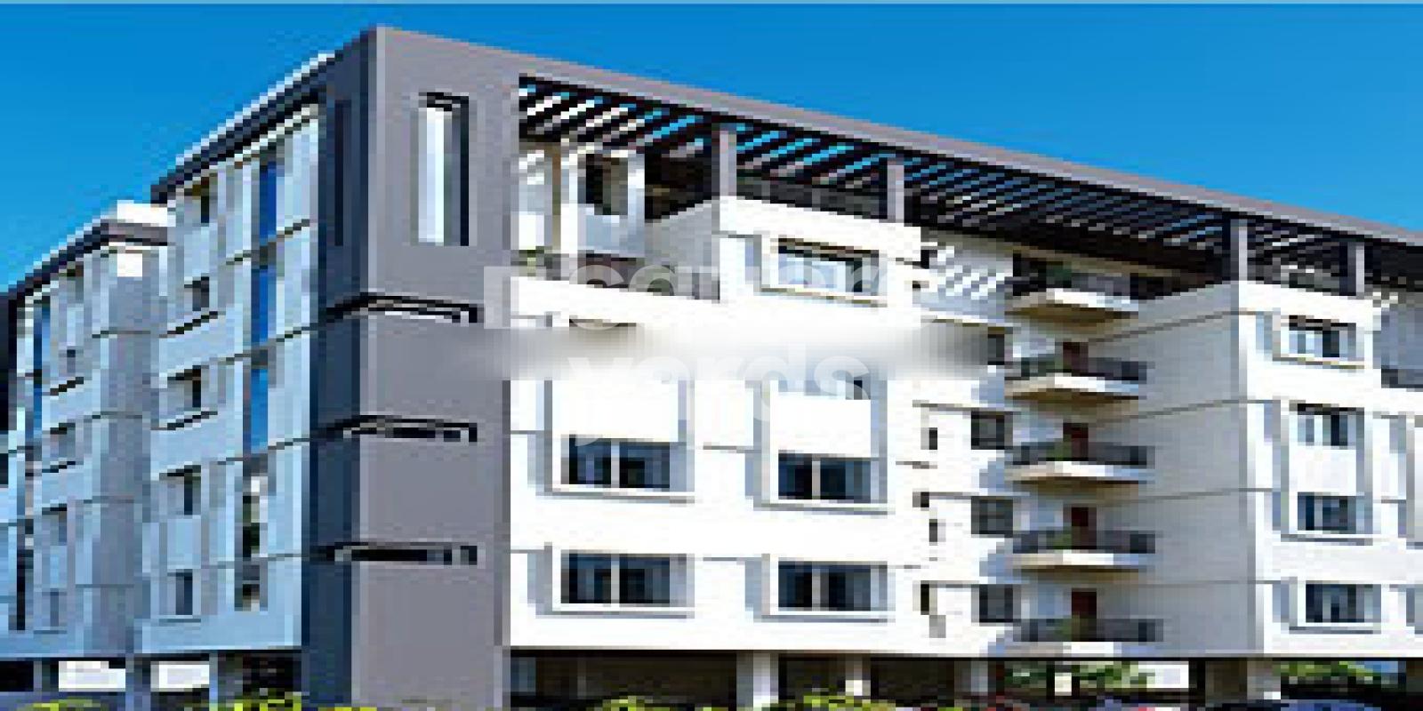 Earth Setu Shells Featured Image