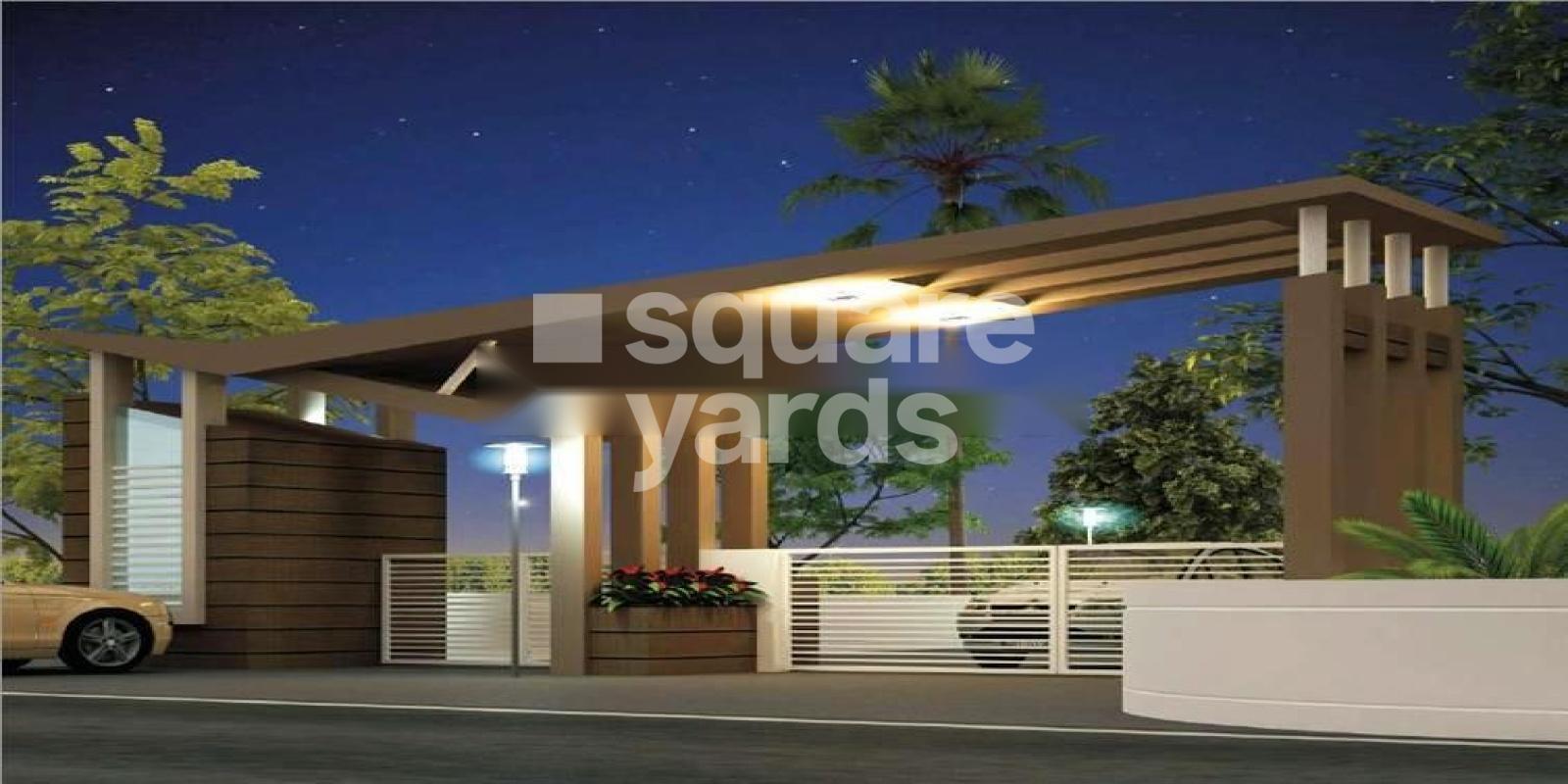 Fortune Wisteria 11 Featured Image