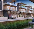 Green Leaf 16