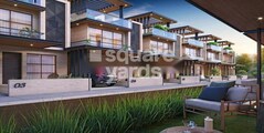 Green Leaf 16
