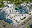 JV Translife