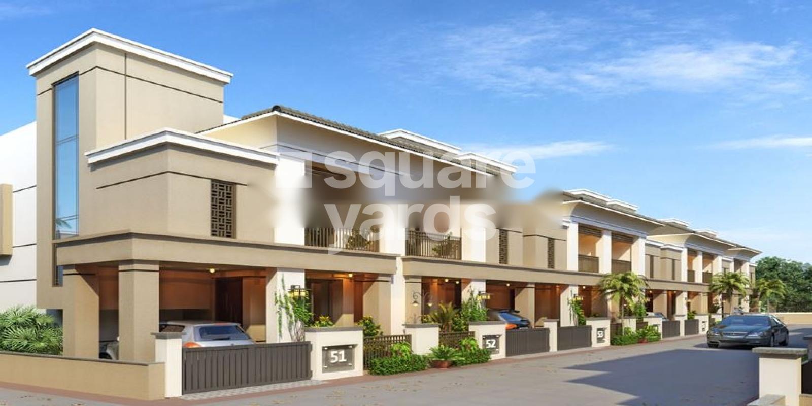 Kanha Kesar 27 Featured Image