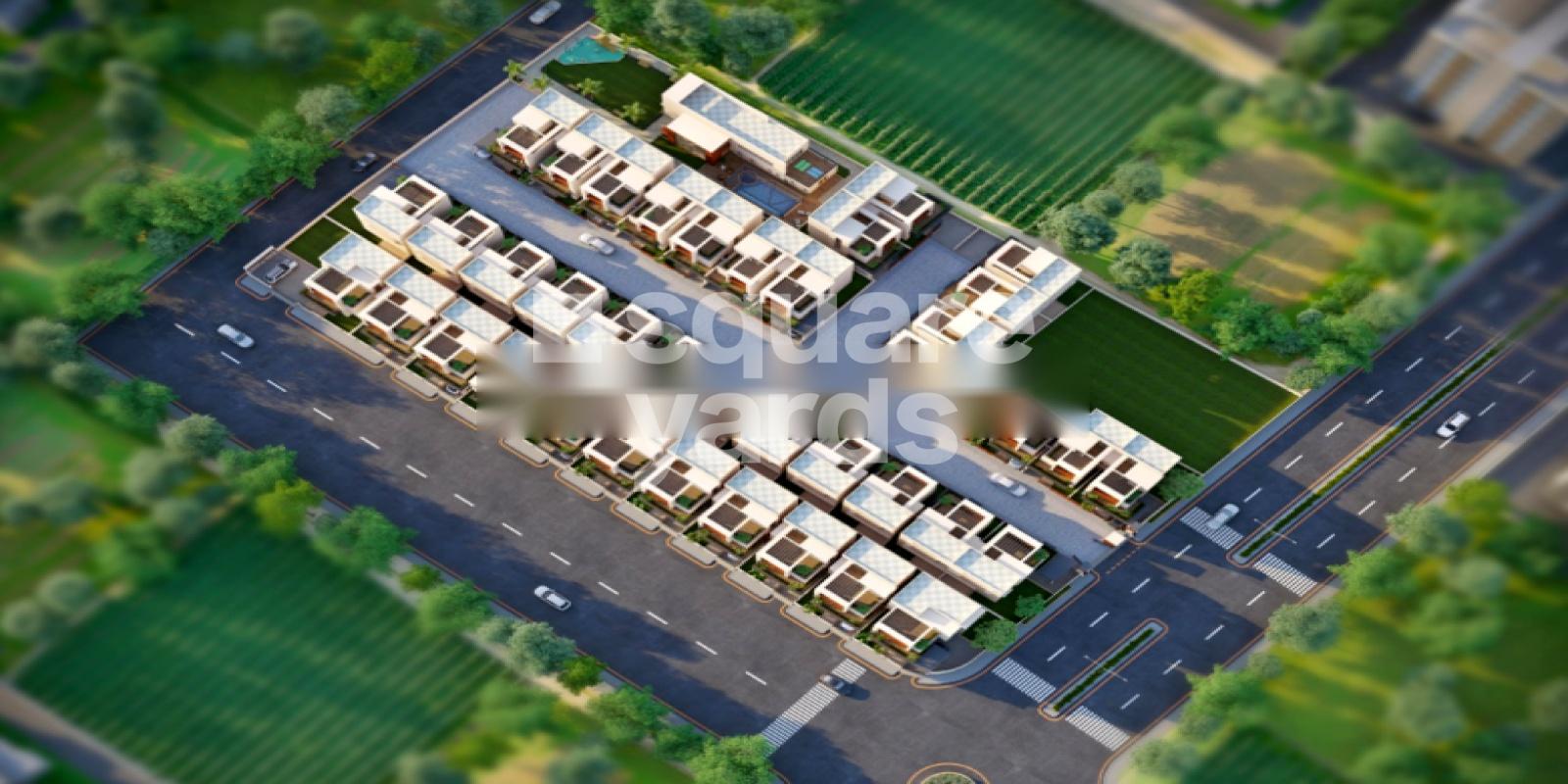 Krishna Florence Elegance