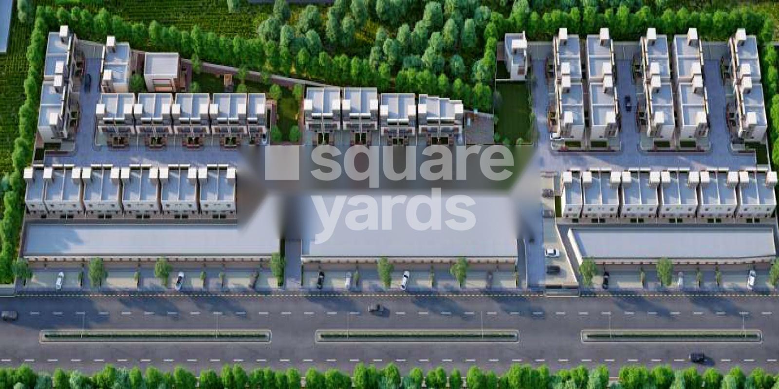 Krishna Palm Exotica