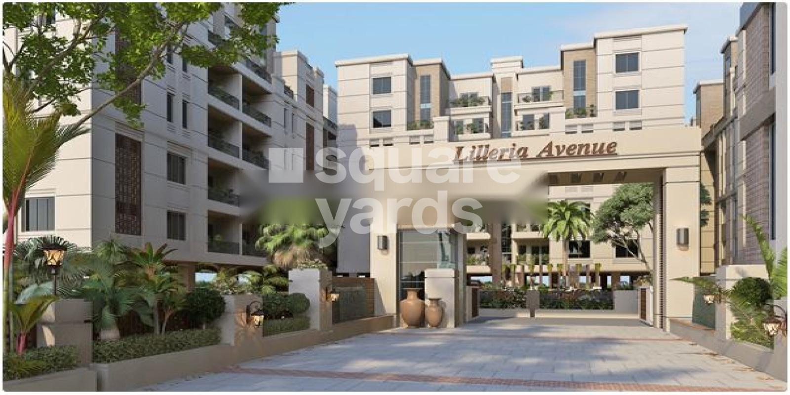 Lilleria Avenue Featured Image