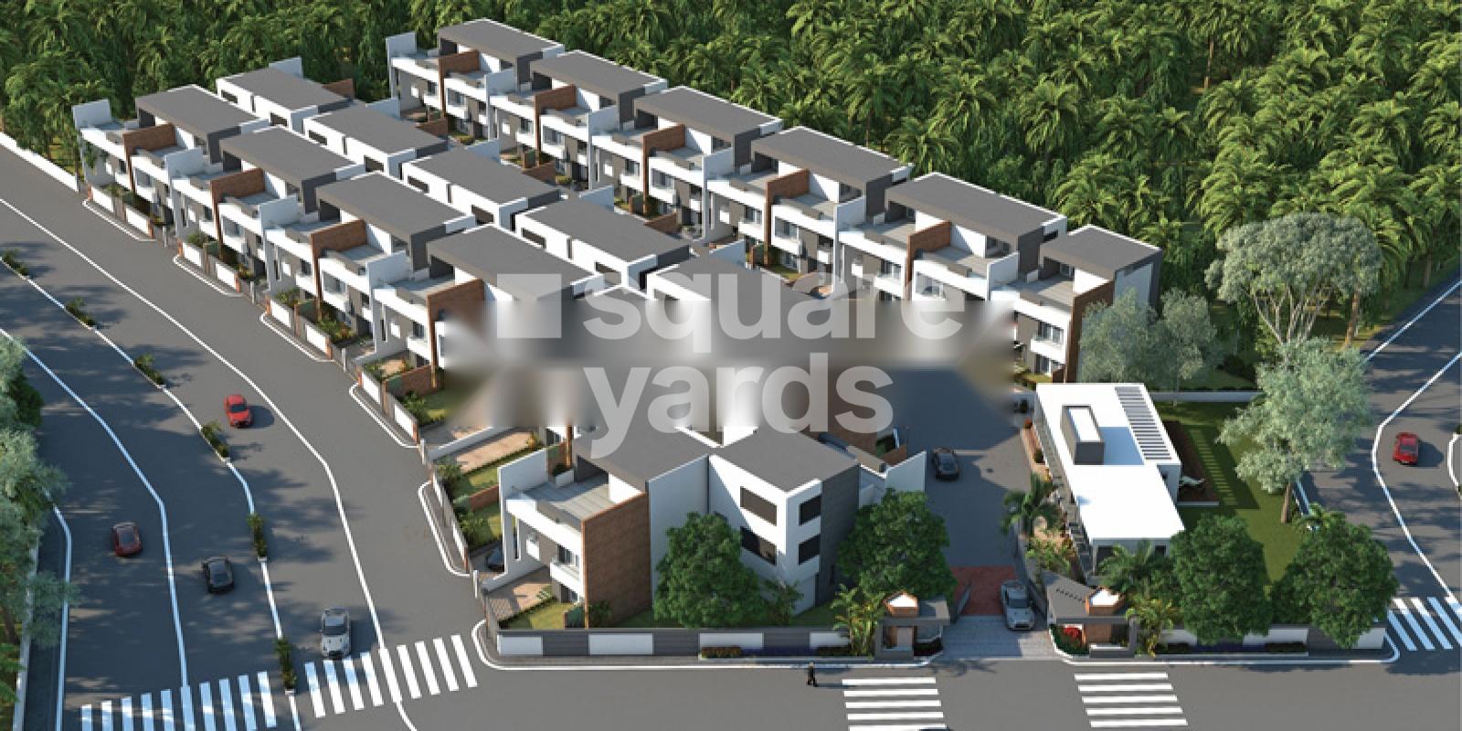 Neptune Green Woods Cove