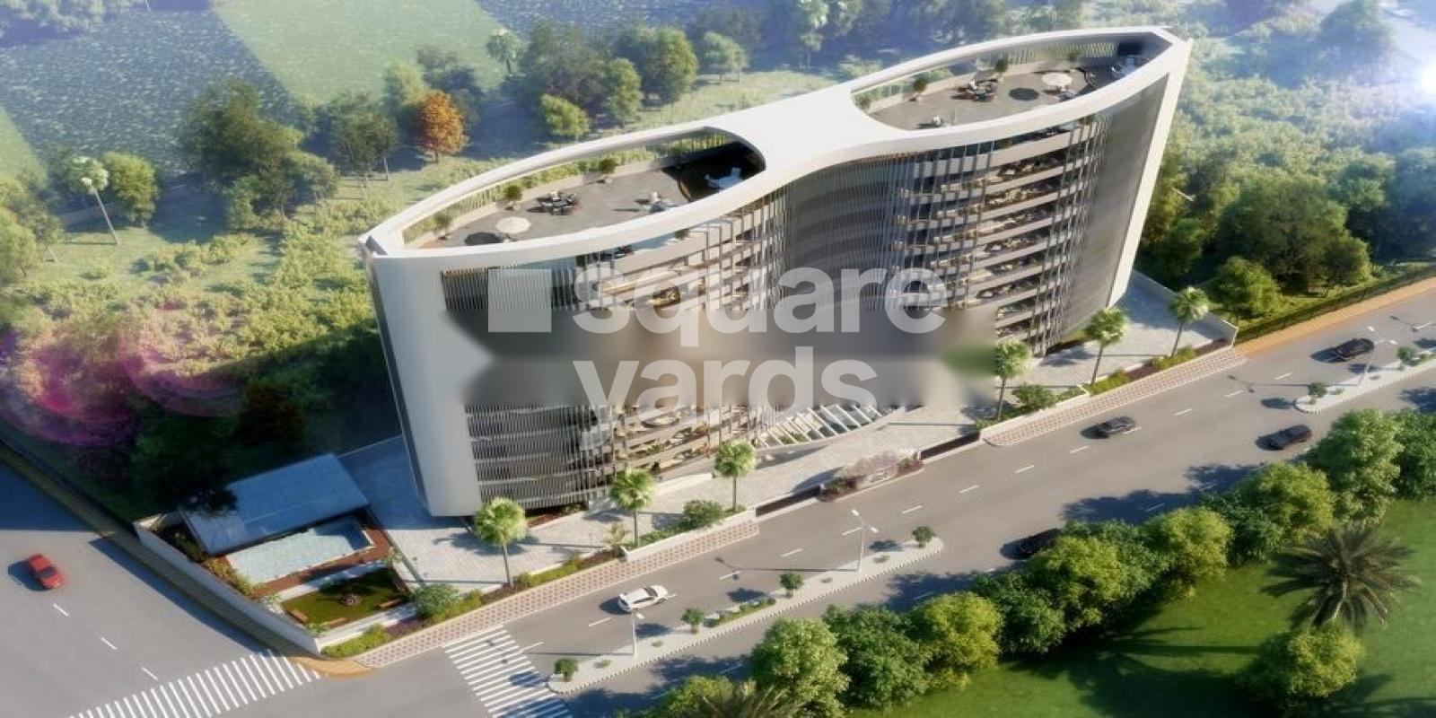 Neptune Green Woods Infinity Featured Image