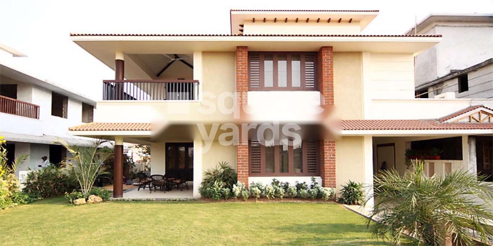 Nilamber Palms Featured Image