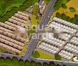 Om Maniwood Residency