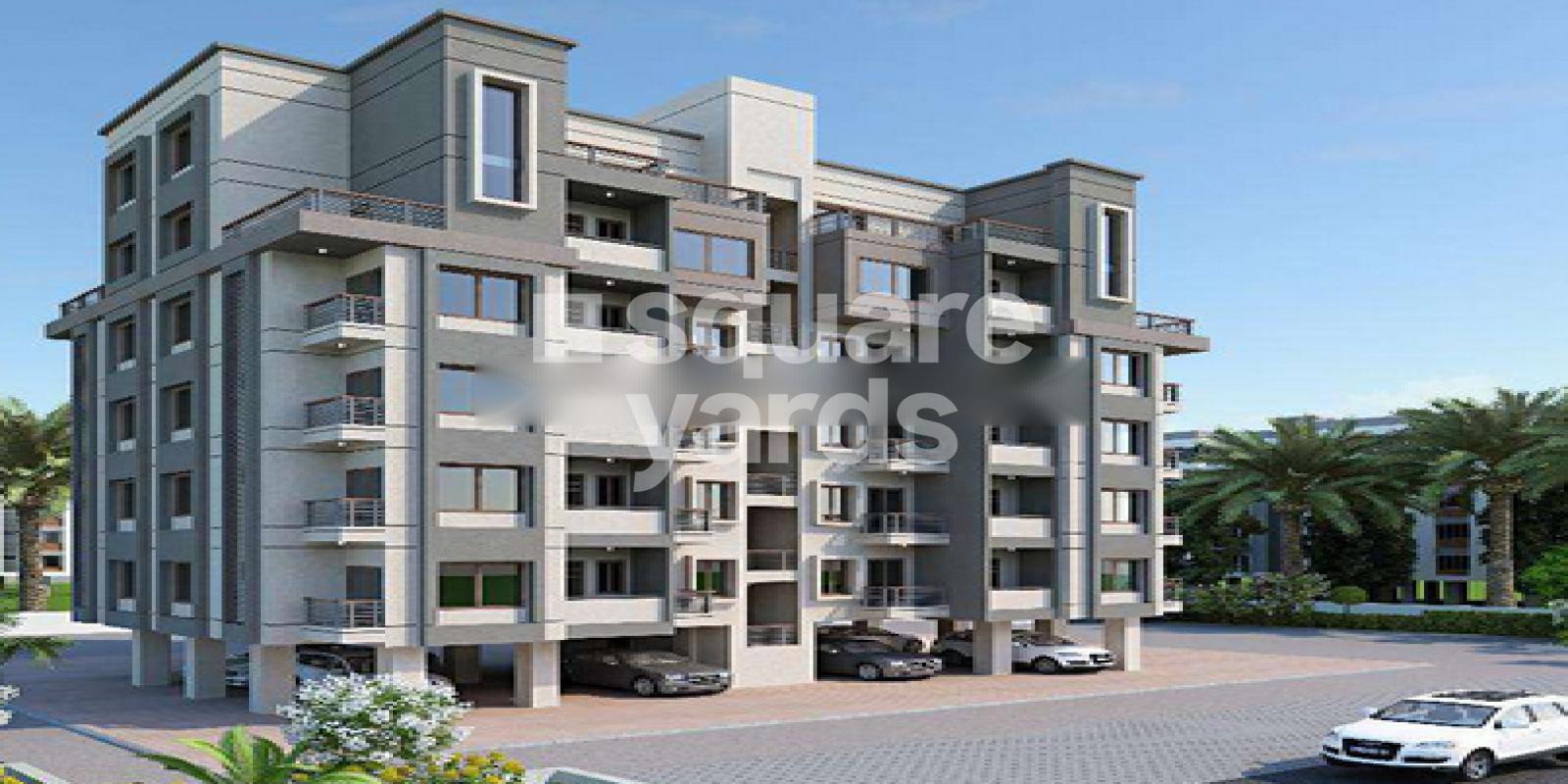 Orchid Harmony Featured Image