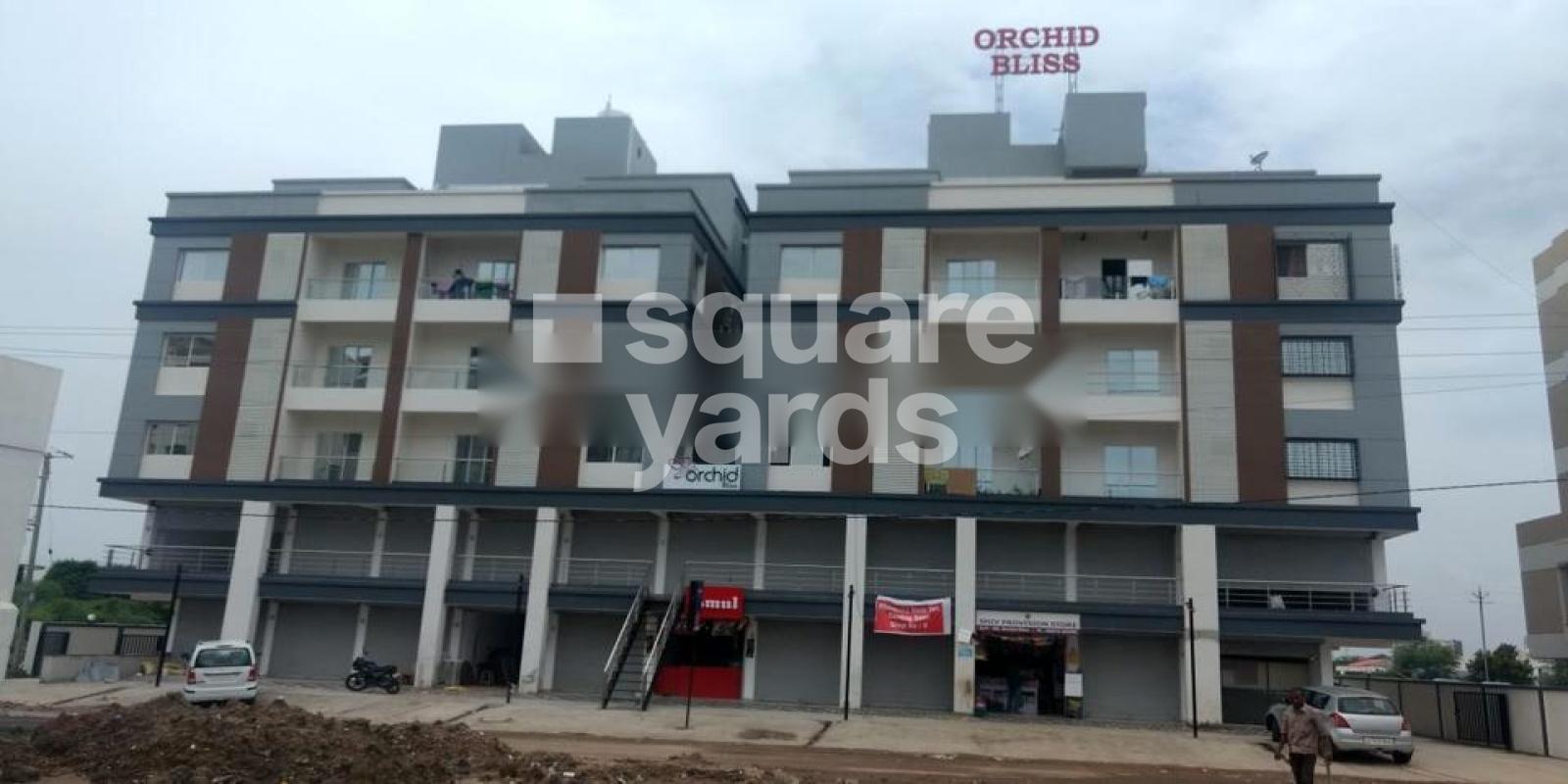 Palm Orchid Bliss Featured Image