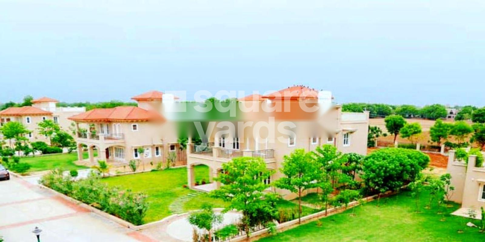 Param Greens