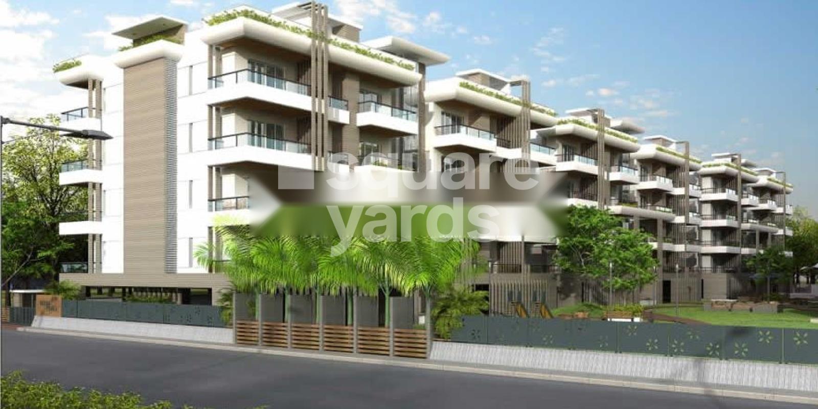 Pawan Vicenza Exotica