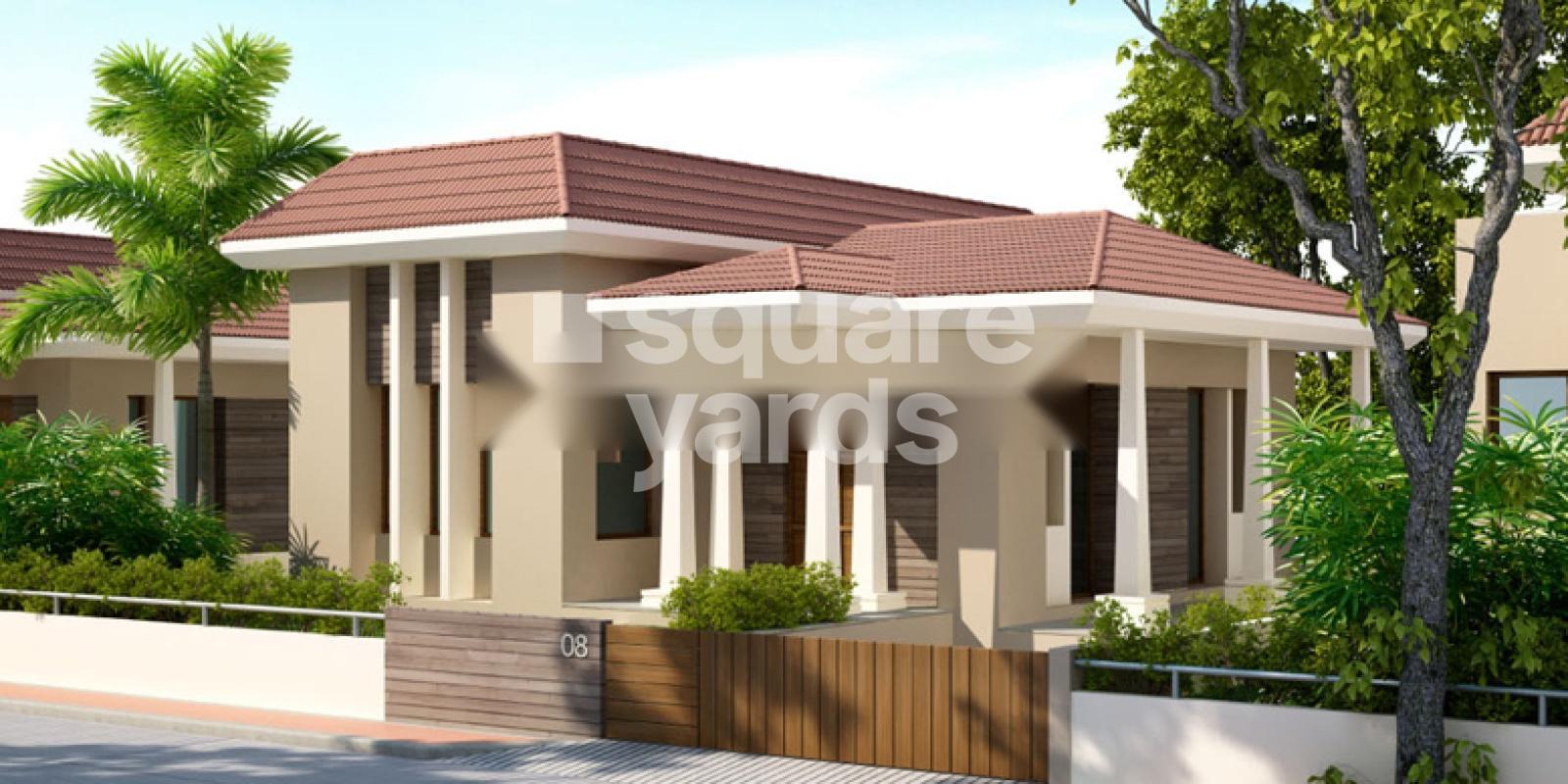 Pawan Viverra The Dream City