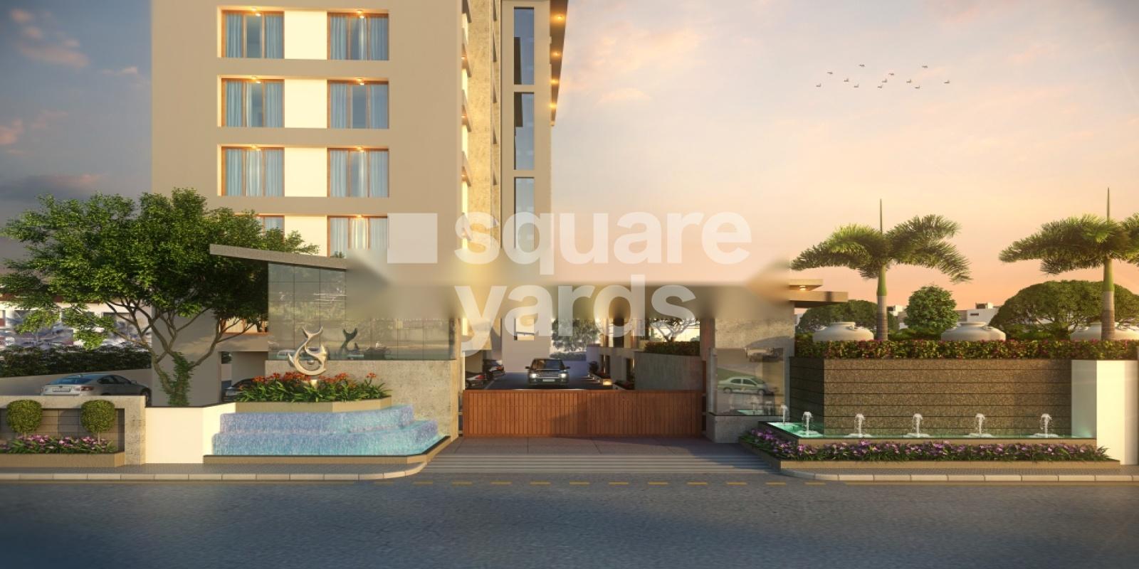 Petal Aster Featured Image