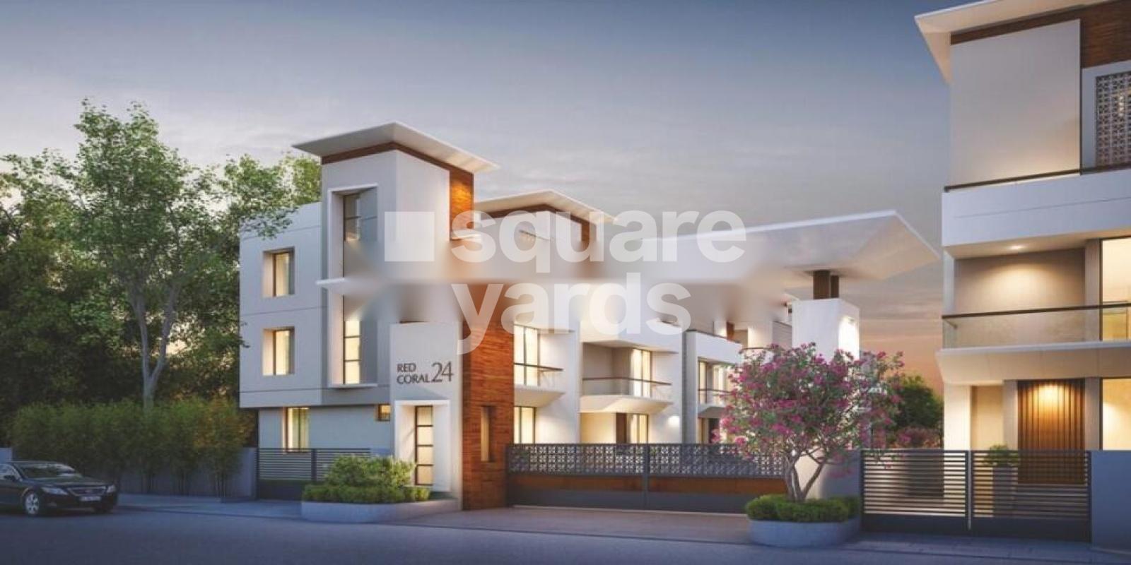 Redcoral 24 Featured Image