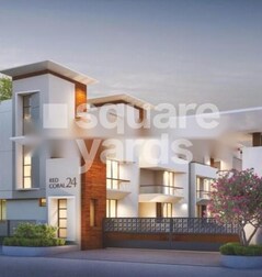 Redcoral 24 Redcoral 24