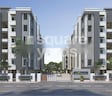 Satva Florence