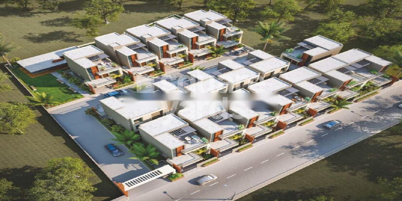 Shakti Alora 18 Featured Image