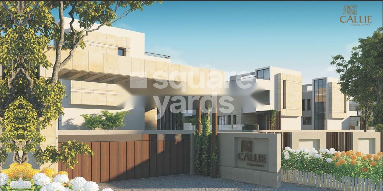 Shree Sai Ram Callie Paradiso