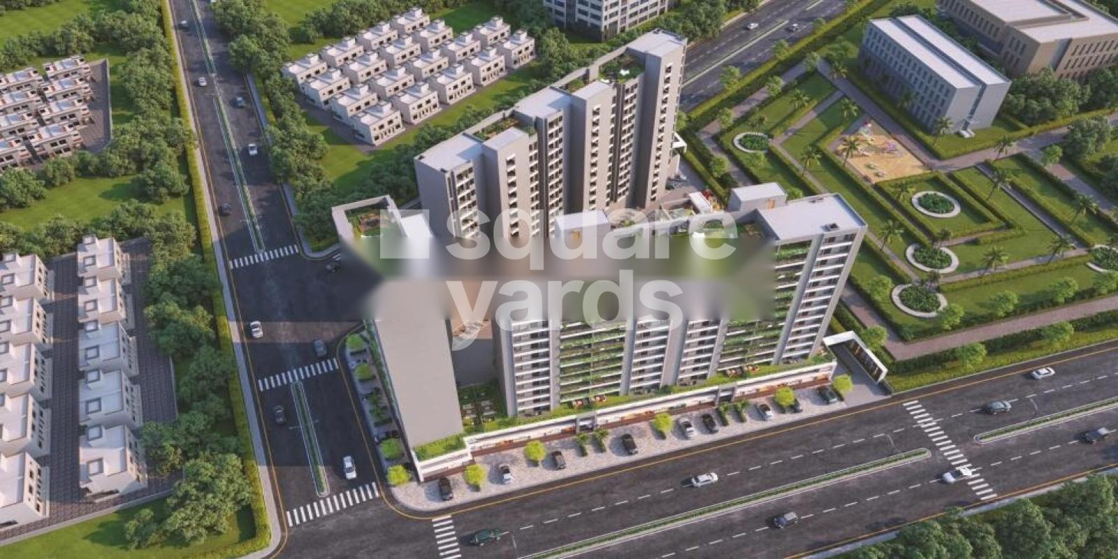 Shree Siddheshwar Hollyhock