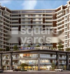 Shrimay Bellevue Shrimay Bellevue