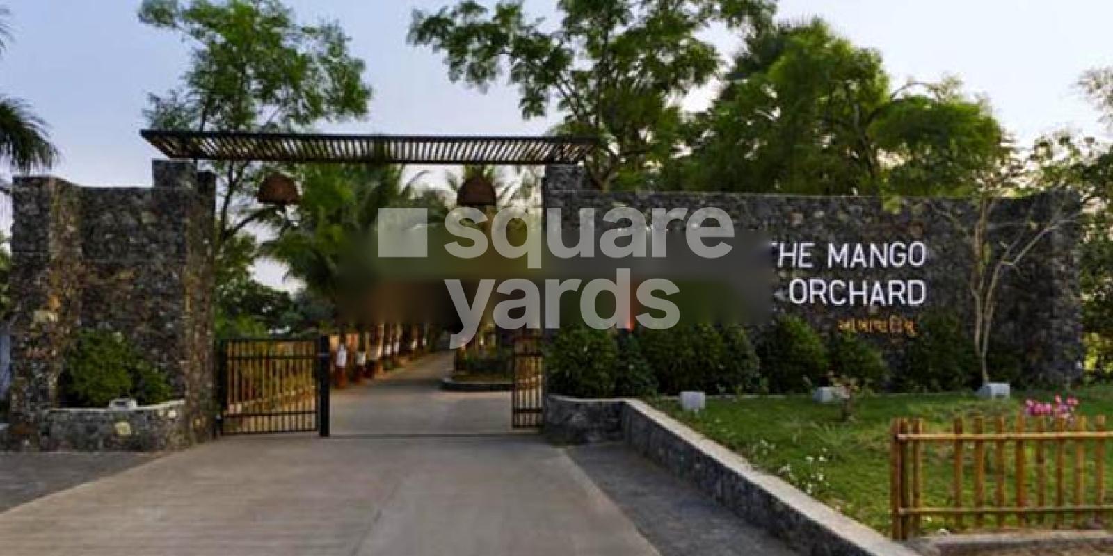 The Mango Orchard Featured Image