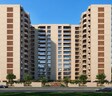 Vihal Aranya Redwood