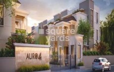 Auro 44 Featured Image