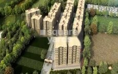 Dove Deck Featured Image