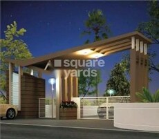 Fortune Wisteria 11 Featured Image