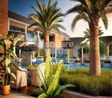 Kensafari Featured Image