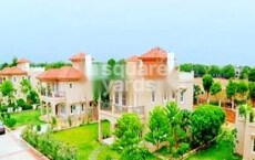 Param Greens Featured Image