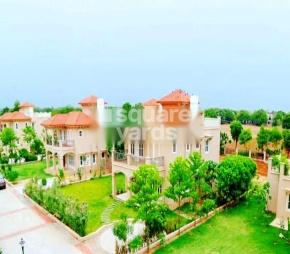Param Greens