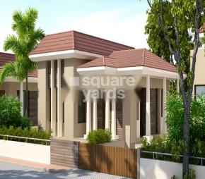 Pawan Viverra The Dream City