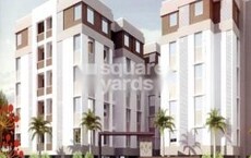 Pearl Harmony Elite Featured Image