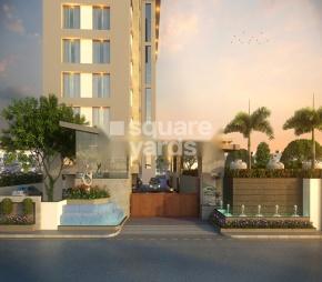 Petal Aster Featured Image