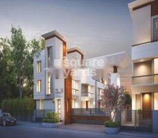 Redcoral 24 Featured Image