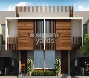 Sachin Sherwood Bliss