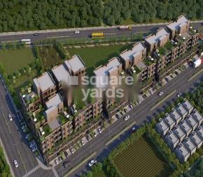 Sky Seven Synnove Nithya