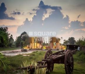 Surface Back To Heaven Featured Image