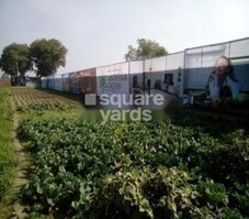 Winsome Anshika Green Featured Image