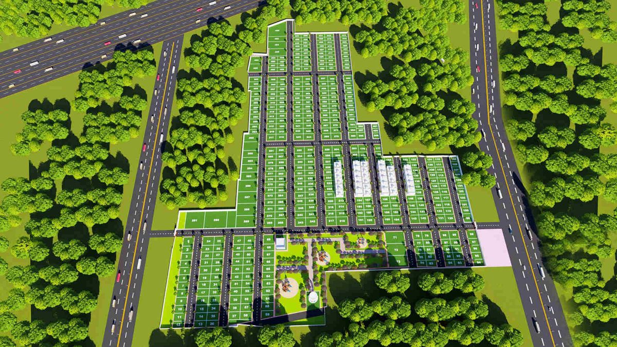 SRK-Sree-City-Kubera_a green field filled with lots of green plants