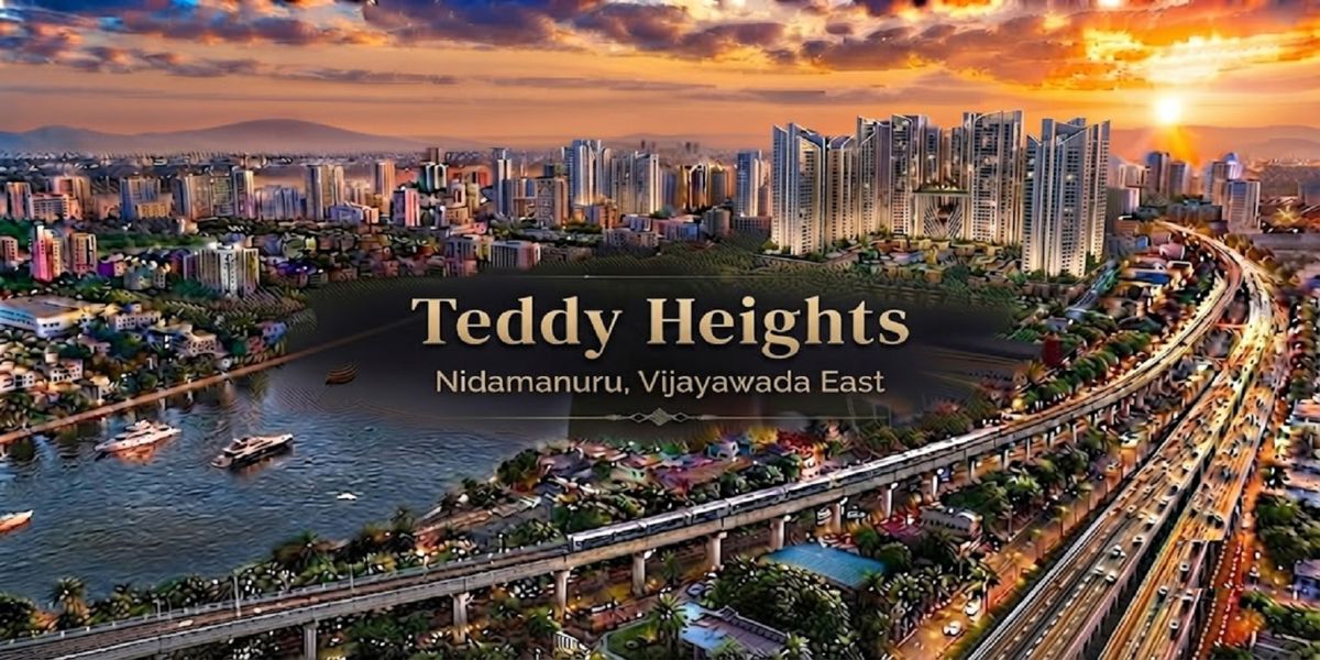 Teddy Heights Featured Image