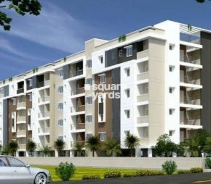 BRC Ankura Cover Image