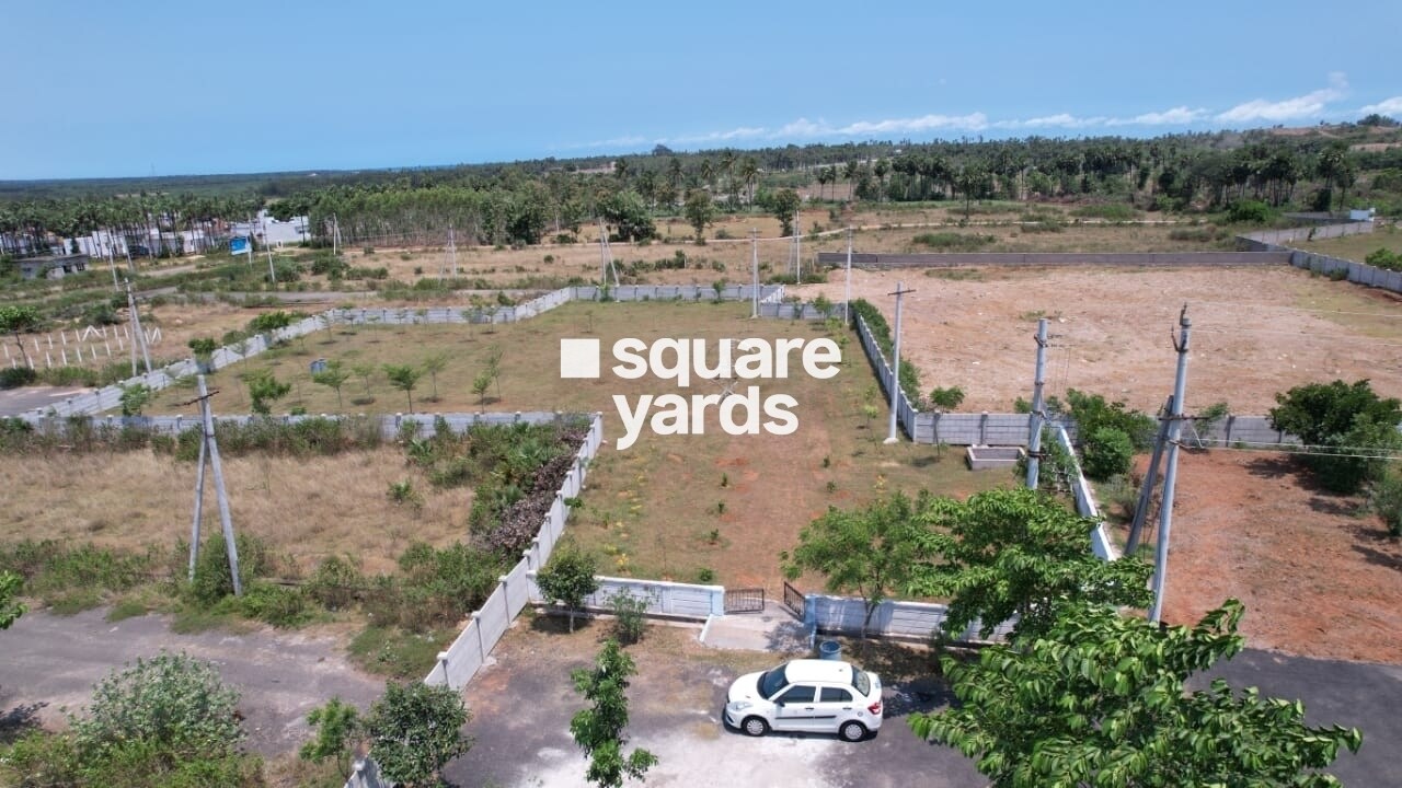 Green Golden Beach Residences