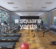 MK Gold Coast Gymnasium Image