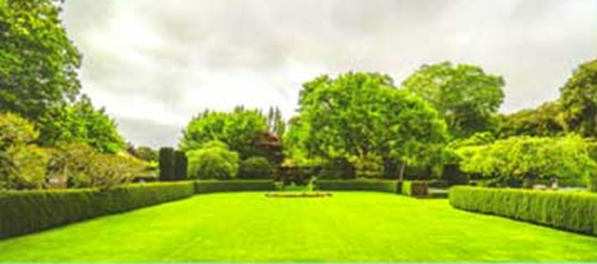 Srika Green Hills View