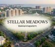 Stellar Meadows